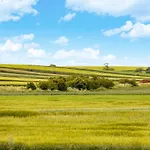 Holiday park Palac 4*