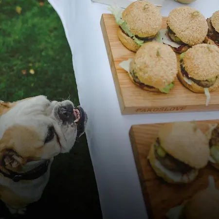 Holiday park Palac Pakoslaw (Greater Poland)