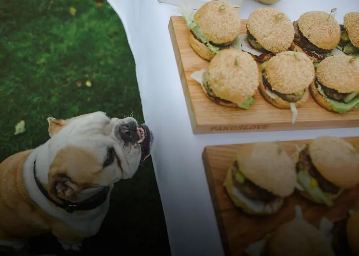 Kompleks wypoczynkowy Pałac Pakoslaw (Greater Poland)