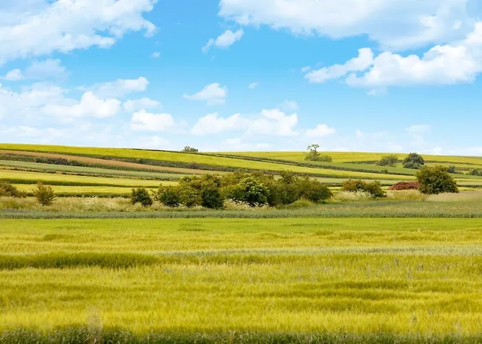 منتزه العطل Palac 4*